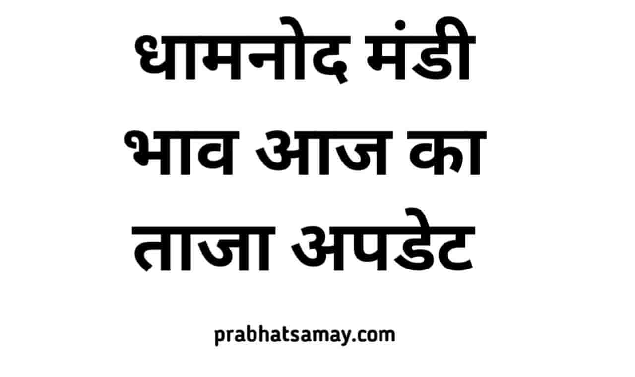 धामनोद मंडी भाव