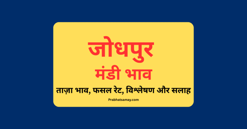 जोधपुर मंडी भाव (Jodhpur Mandi Bhav)